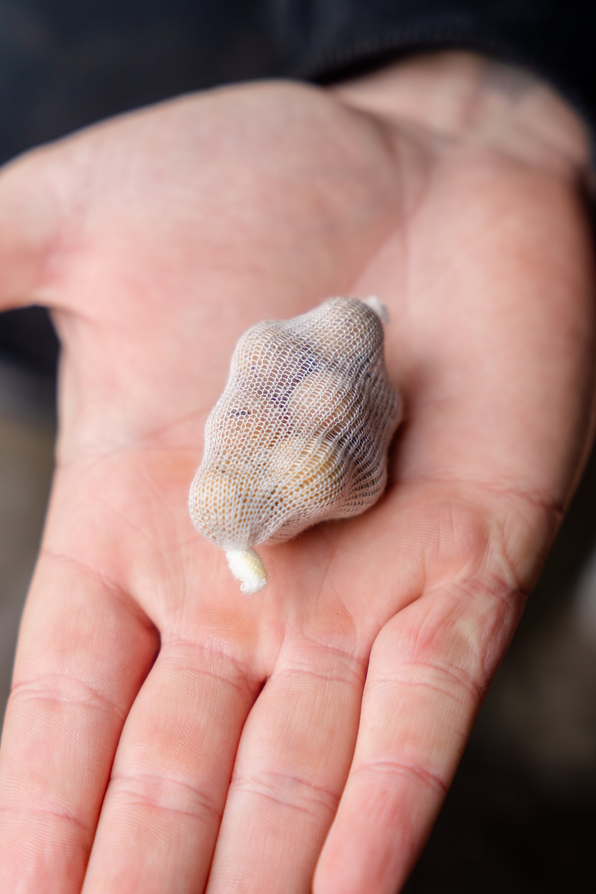 PVA Mesh Wide 37mm Full System