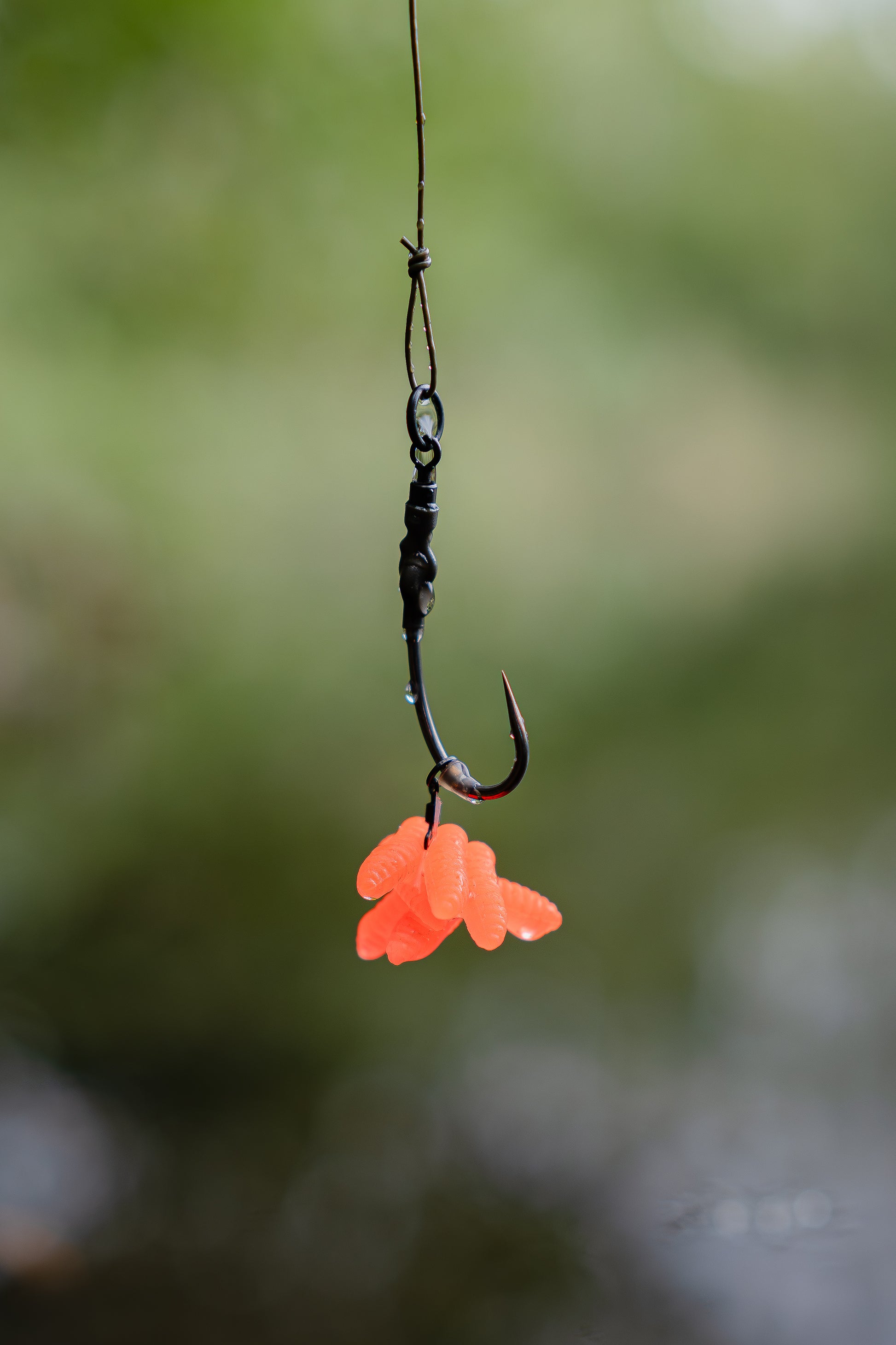 Pop Up Scented Imitation Magots Blood Orange