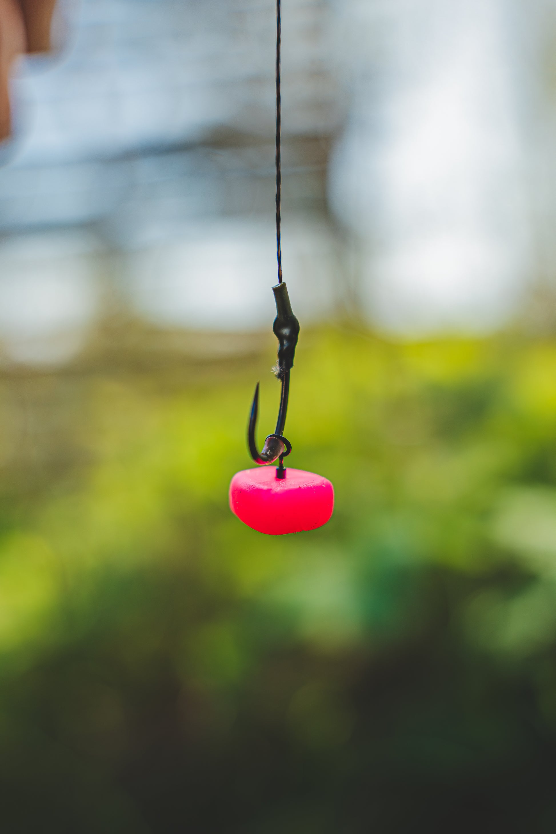 Pop Up Scented Corn Mulberry Pink