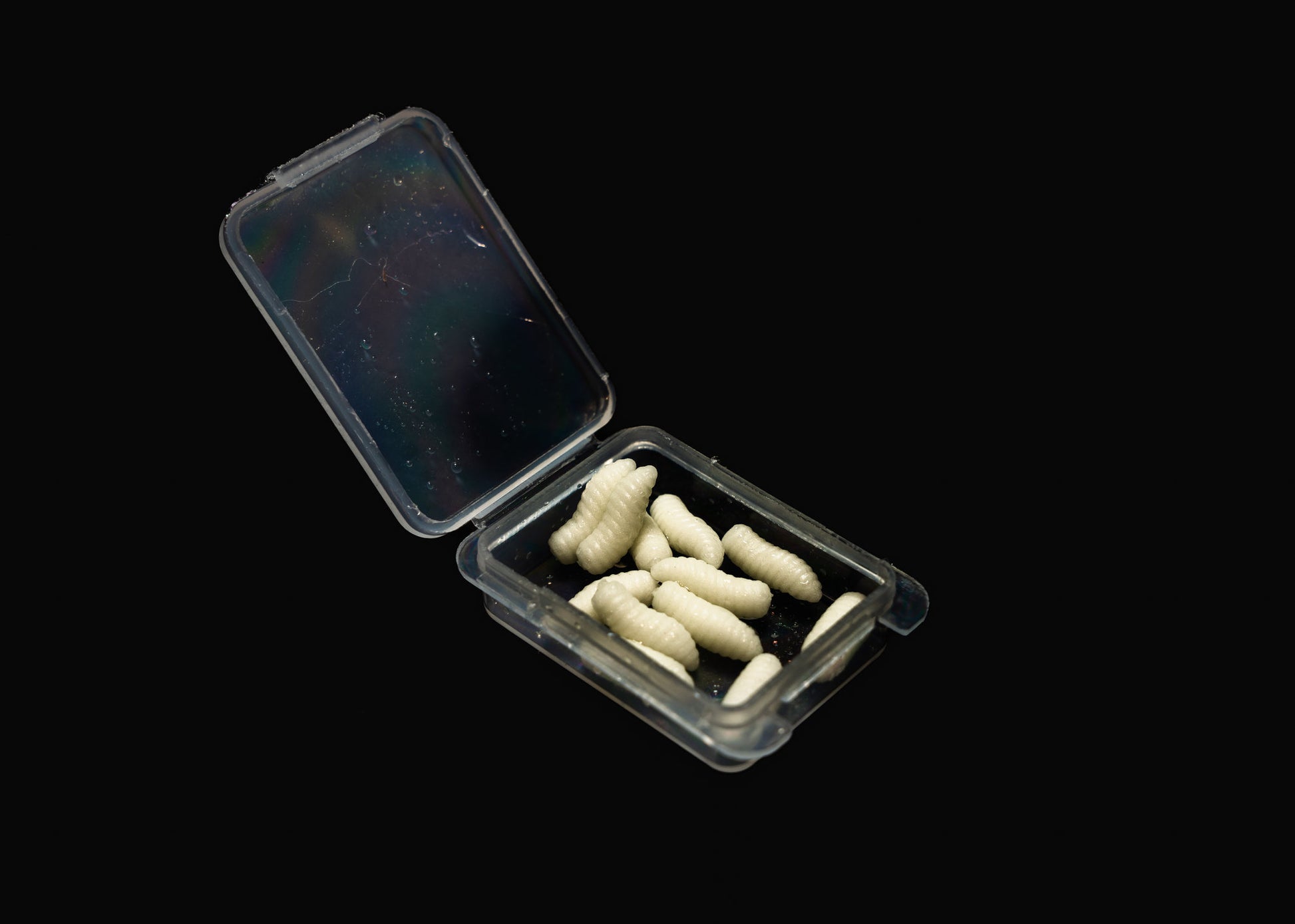 Pop Up Scented Imitation Magots White (Glow in the dark)