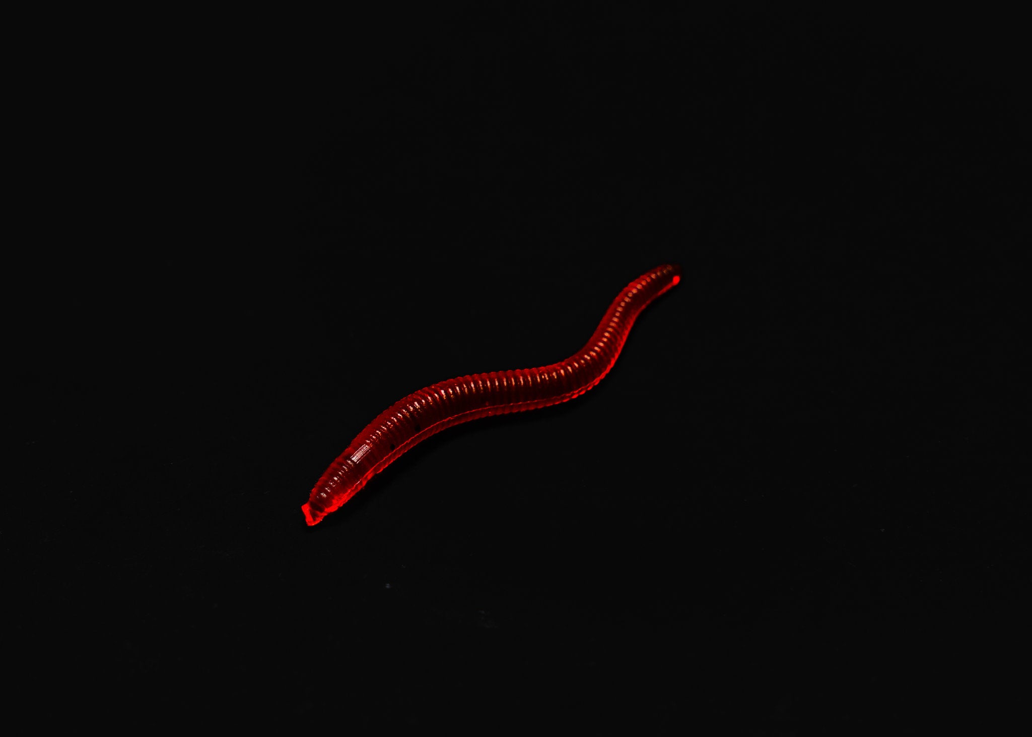 Imitation Earthworms - Butterscotch Scented