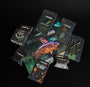 Commando Tackle Spinner Rig Bundle