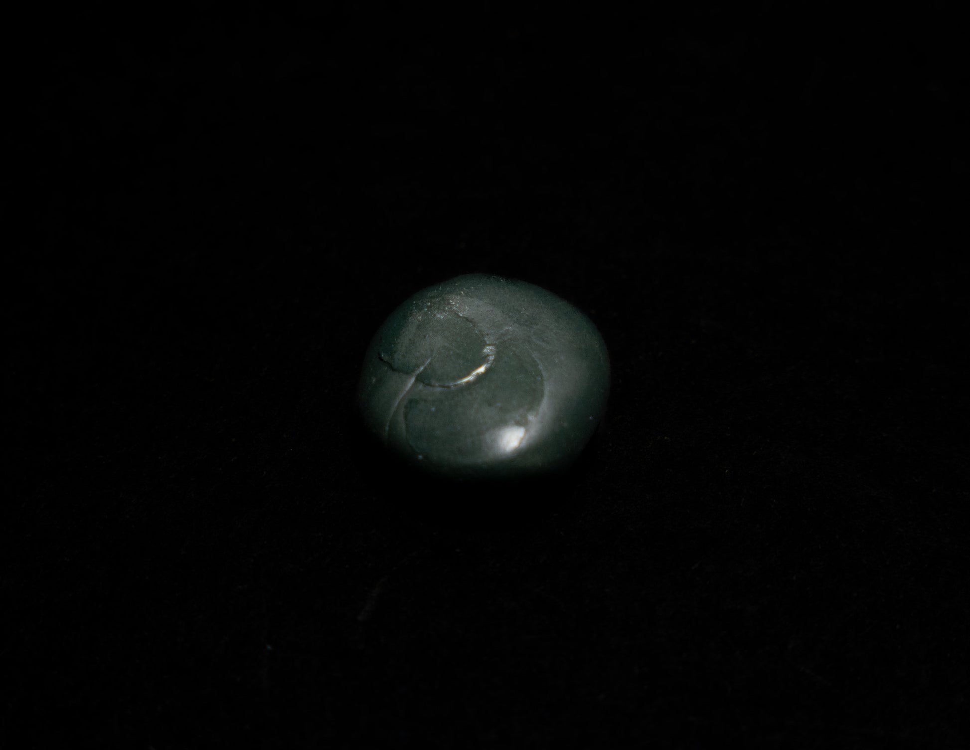 C4 Sticky Putty Green