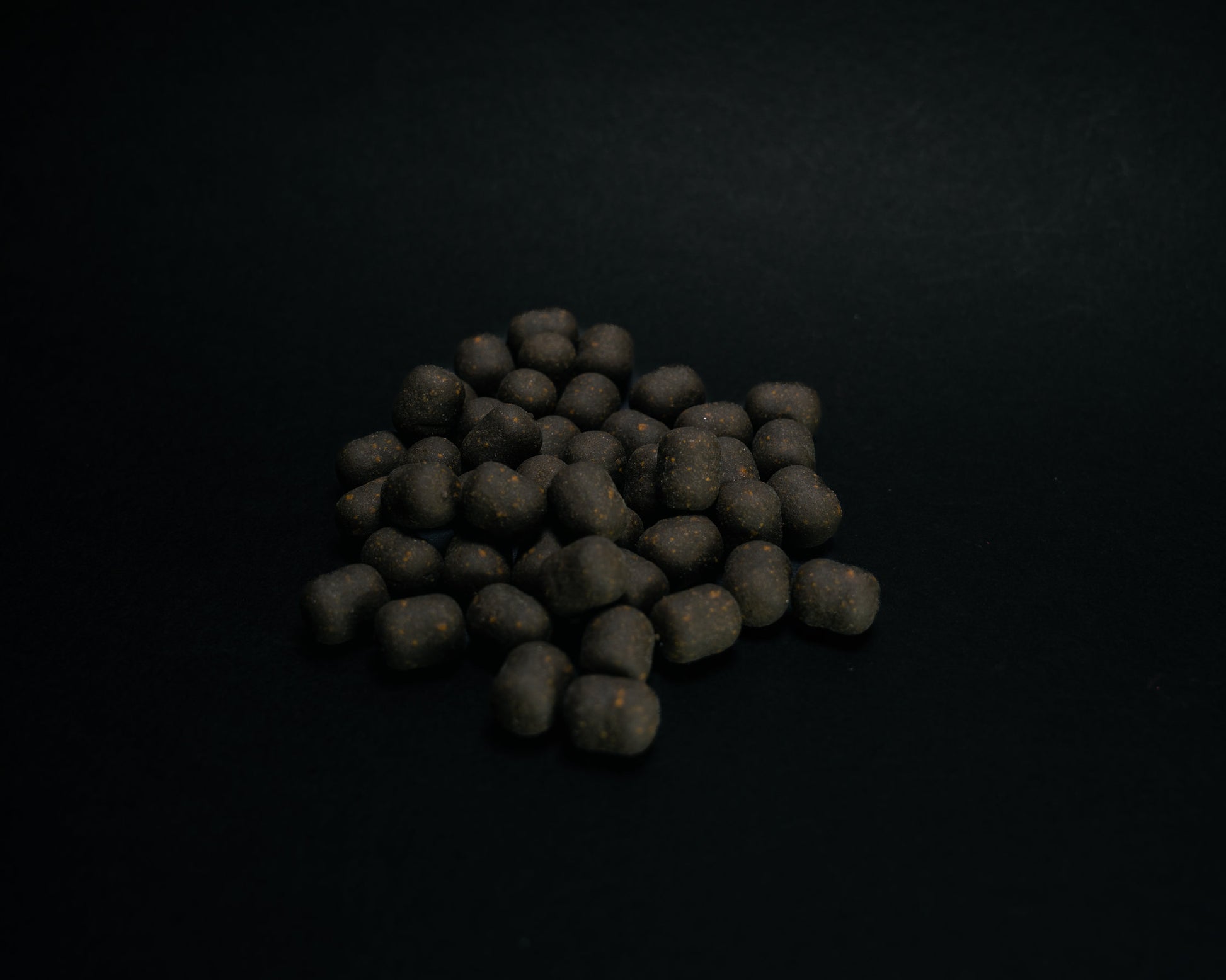 Garlic Infusion Hookbaits